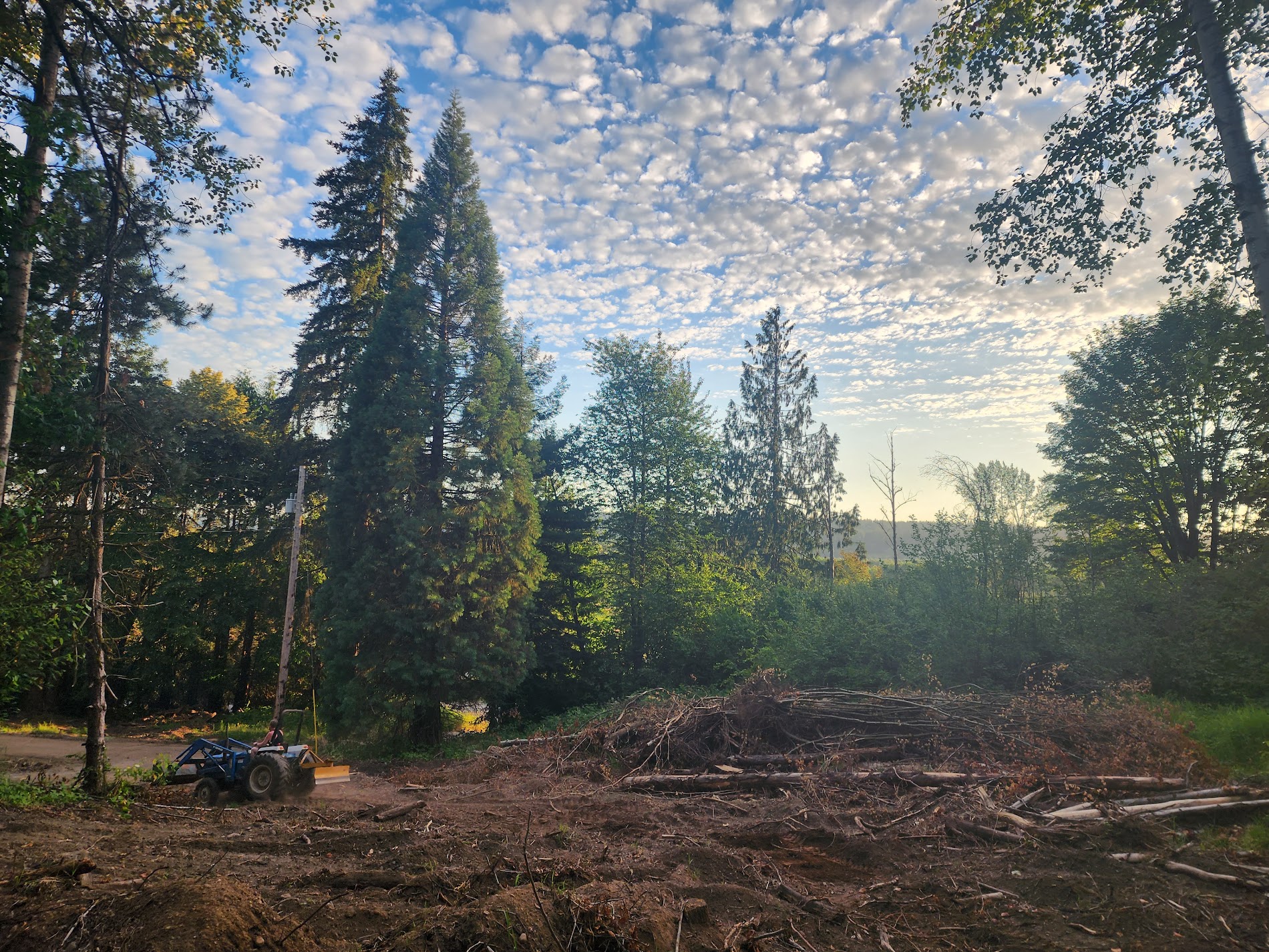 Farm life