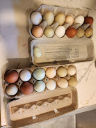 Pickup spot off State 203